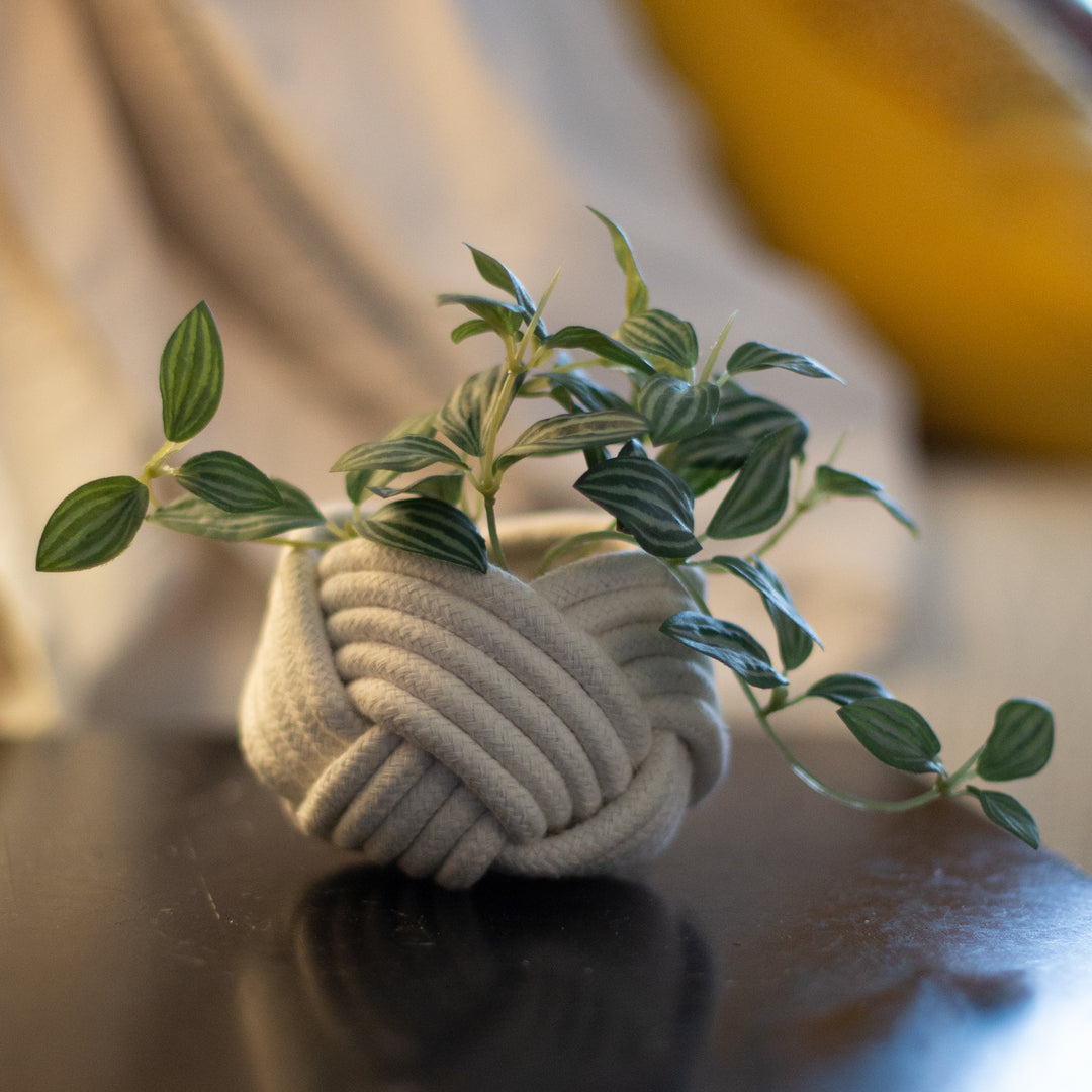 Unbound Planter White