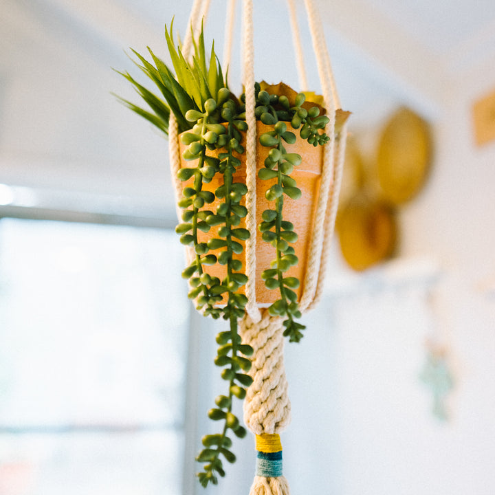 The Dignity Plant Hanger- Mustard