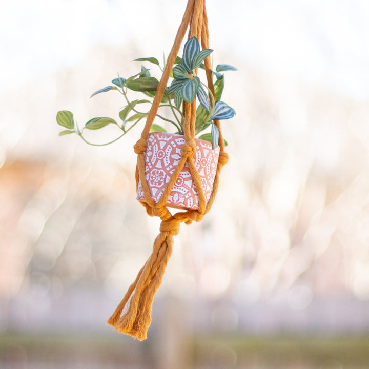 Flourish Plant Hanger Mustard